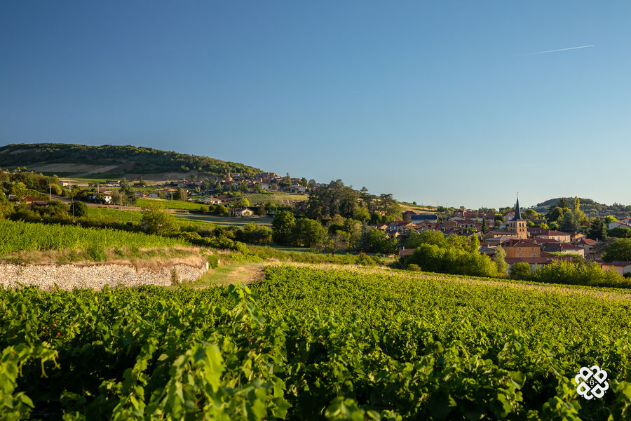 Vue sur le village de Theizé