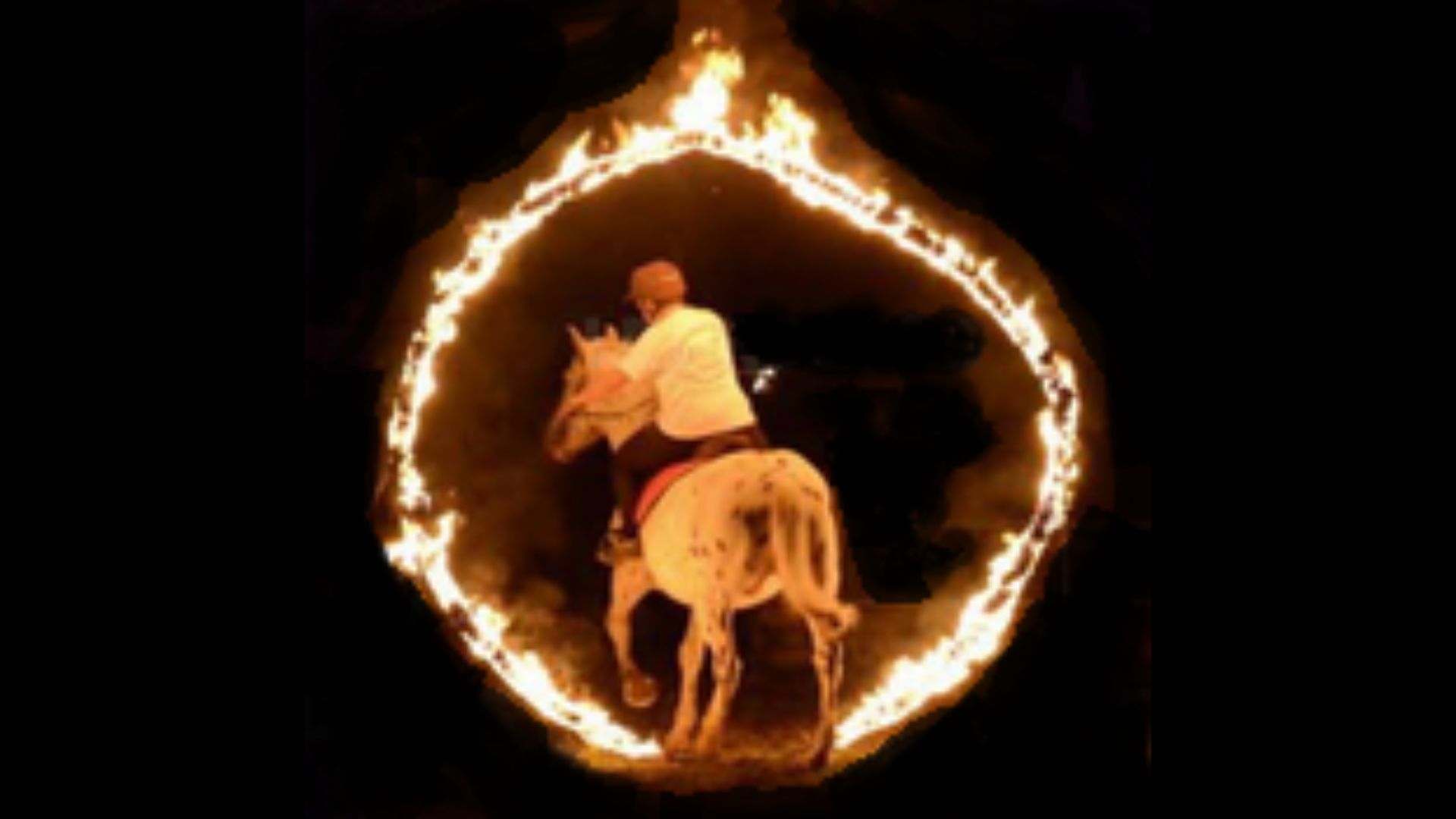 Fête du cheval