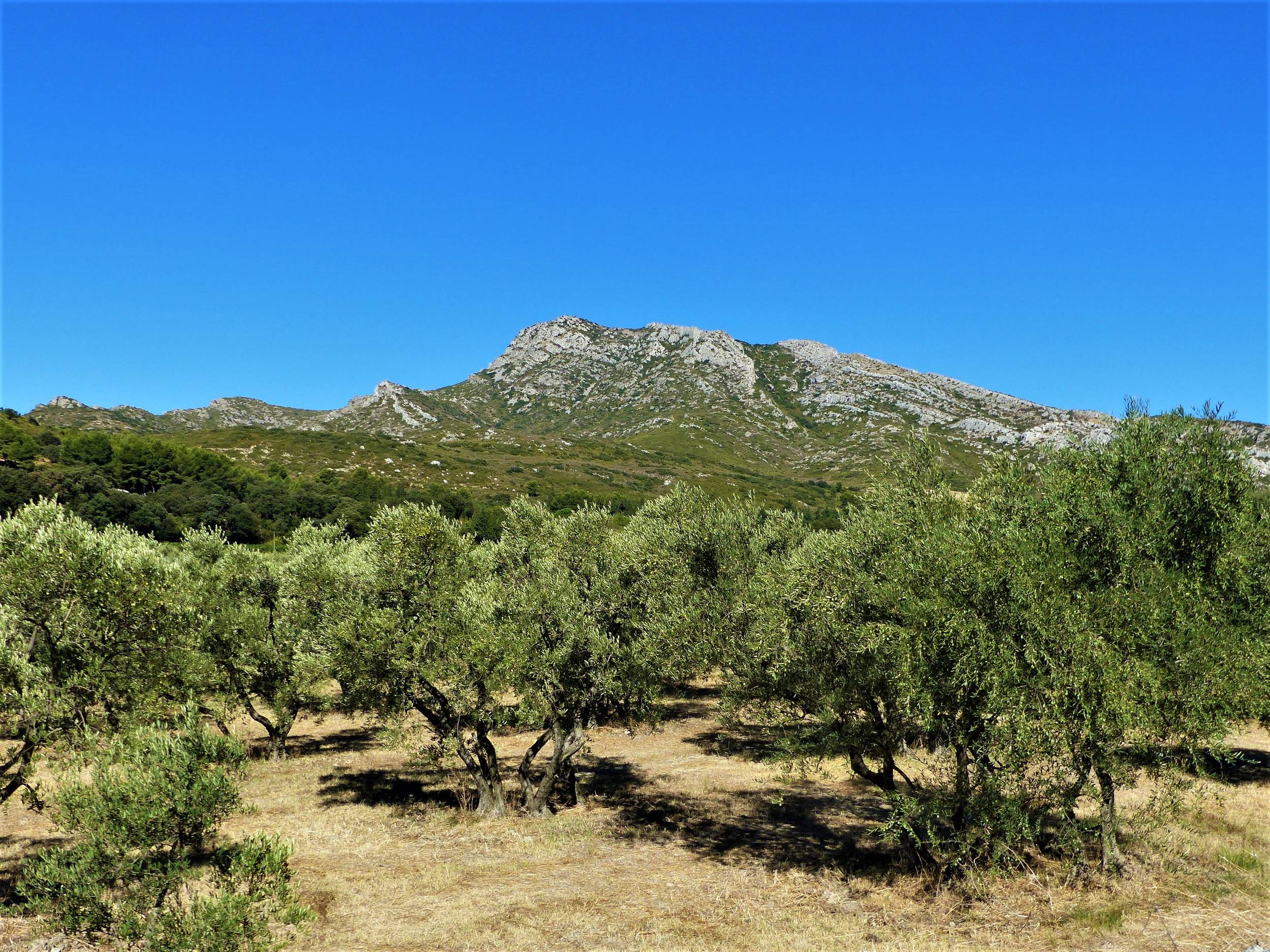 EYGUIÈRES - Vallon des Glauges, Eyguières - photo 5