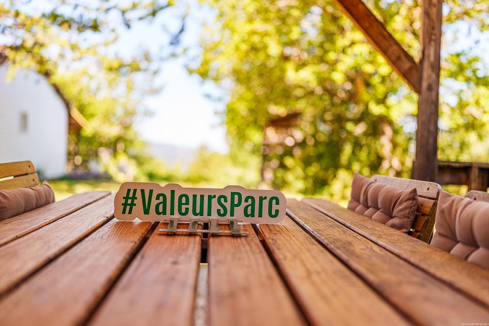 Nous sommes au coeur de la forêt dans le parc naturel des baronnies provençales