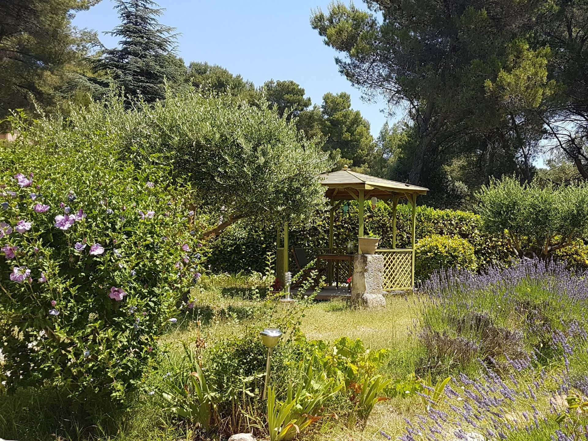 Les Hauts Pinchinats, Le Tholonet - photo 30