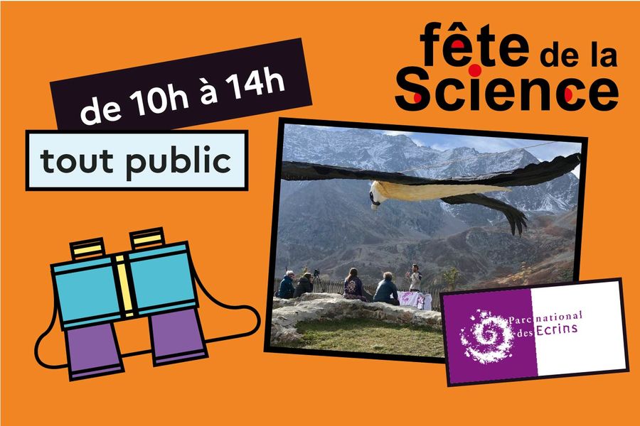 Observation de la faune - © Jardin du lautaret Visuel Fête de la Science - © Jardin du lautaret