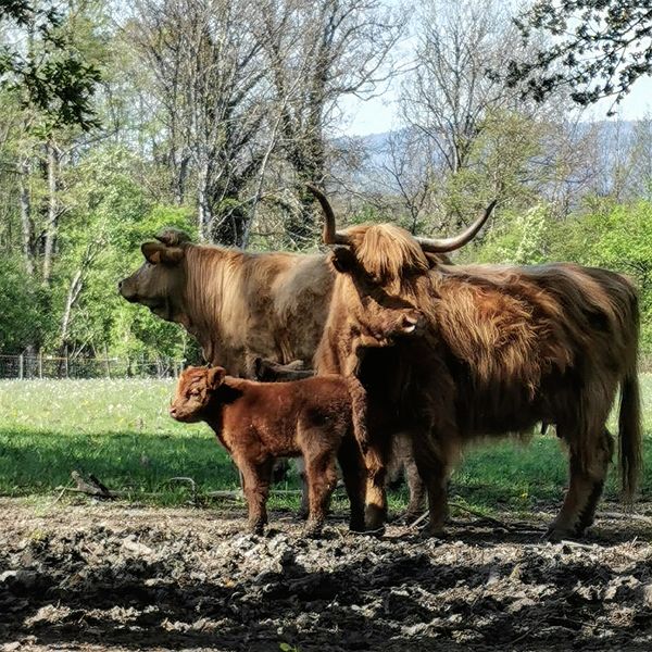 Restaurant La Ferme du Marais