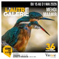 Exposition : Mehdi Maamir_Vienne