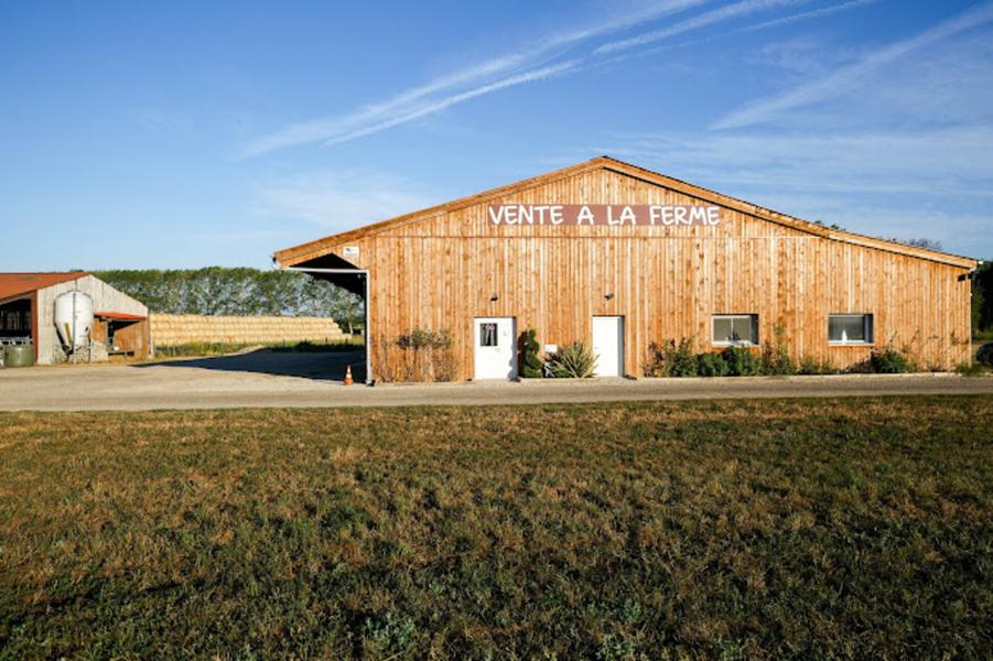 Gaec Dufour - producteur de charolais - Chozeau, proche de Crémieu - Balcons du Dauphiné