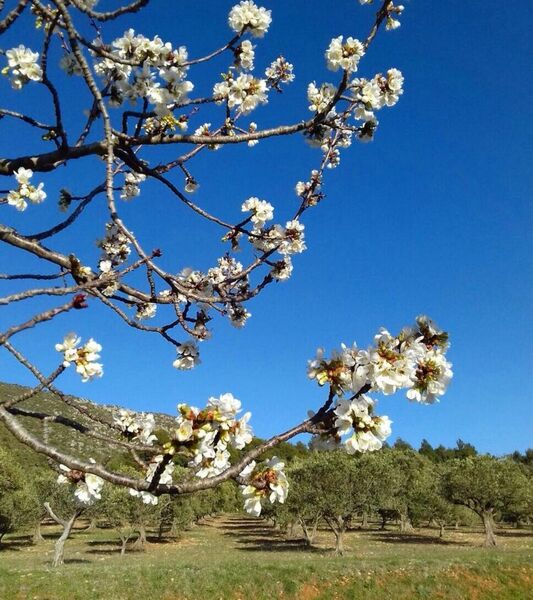 Domaine de la Tuillière