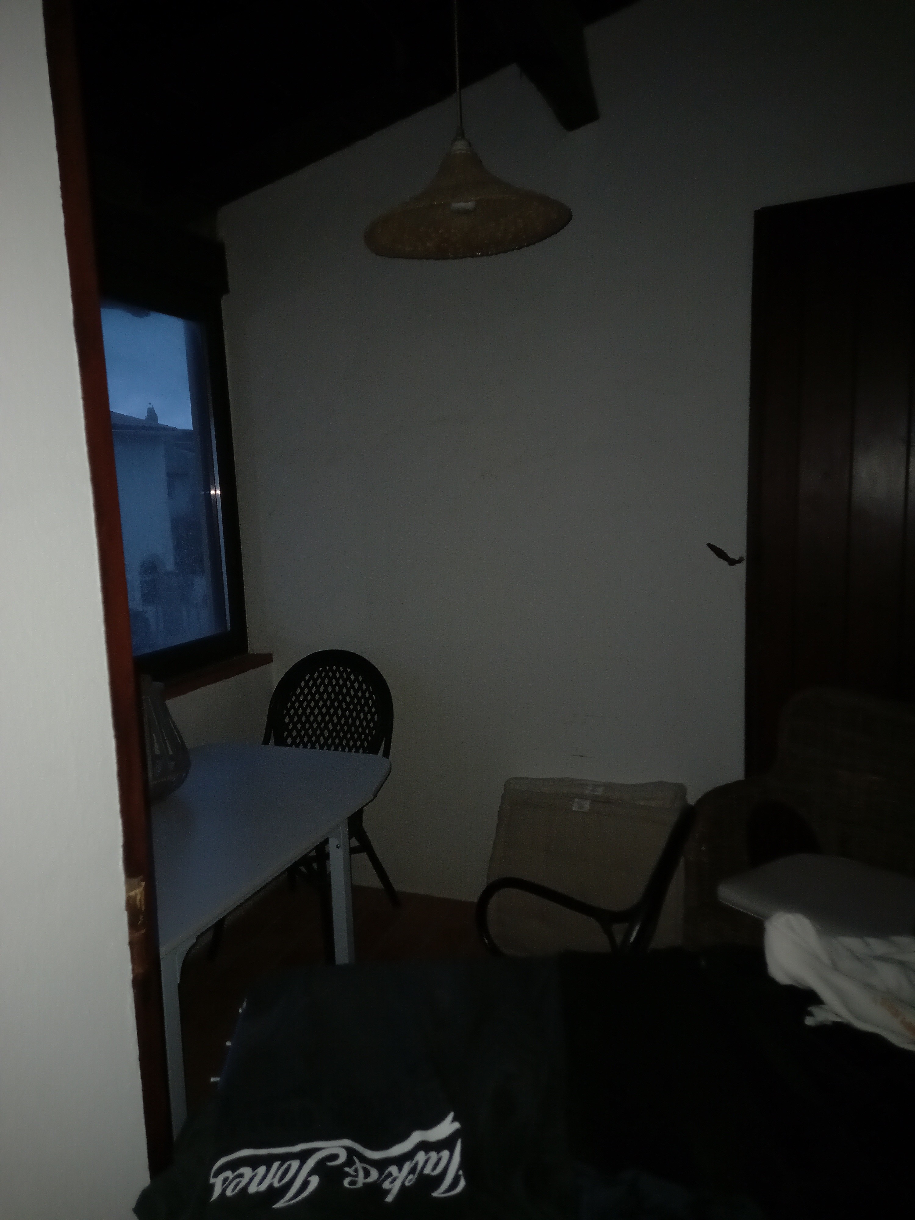 Dane Anne-Marie - photo 5