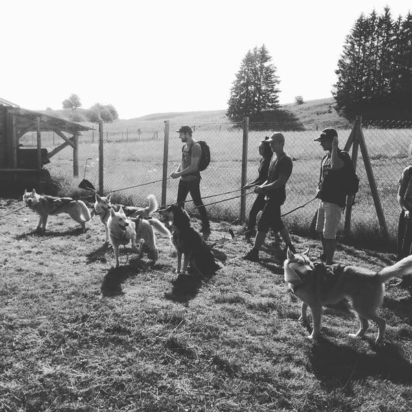 Chalet des Sibériens - Canirando