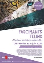 Exposition - Fascinants félins_Les Deux Alpes