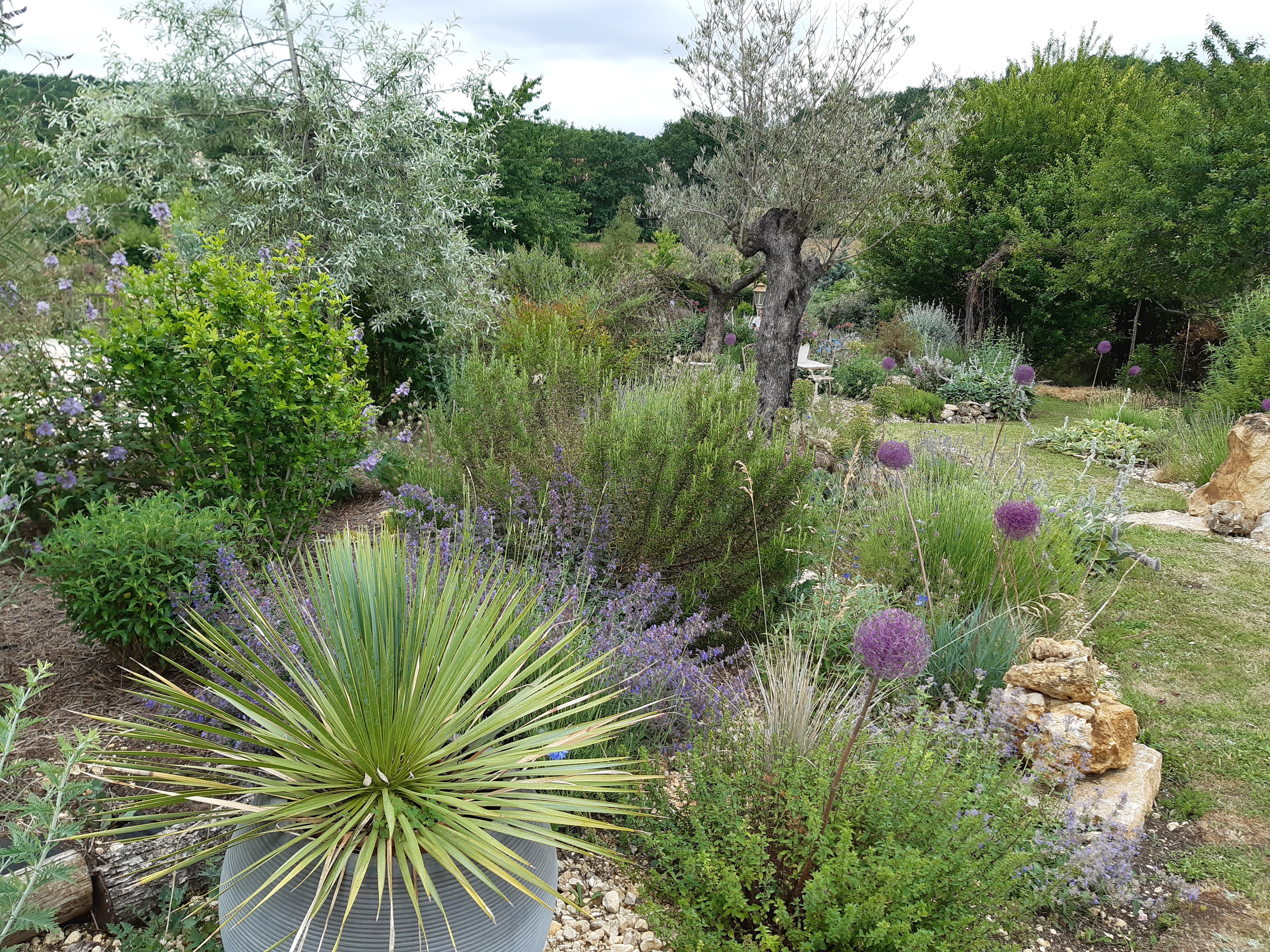 Journées Européennes du Patrimoine : Le jardin de Laussagne