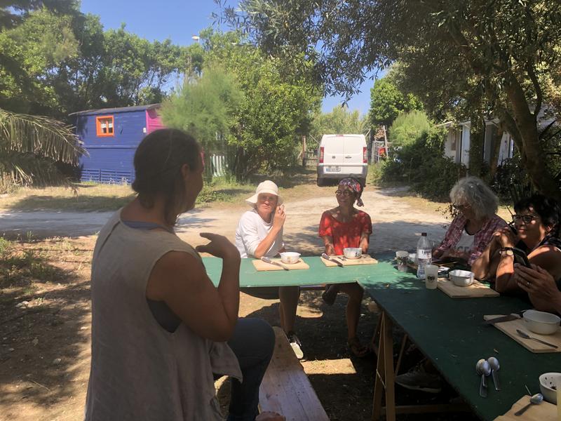 Algues : sortie découverte suivie d'un atelier cuisine