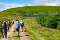 Entre les jasseries de la Loire et du Puy de Dôme - Randonnée commentée_Sauvain