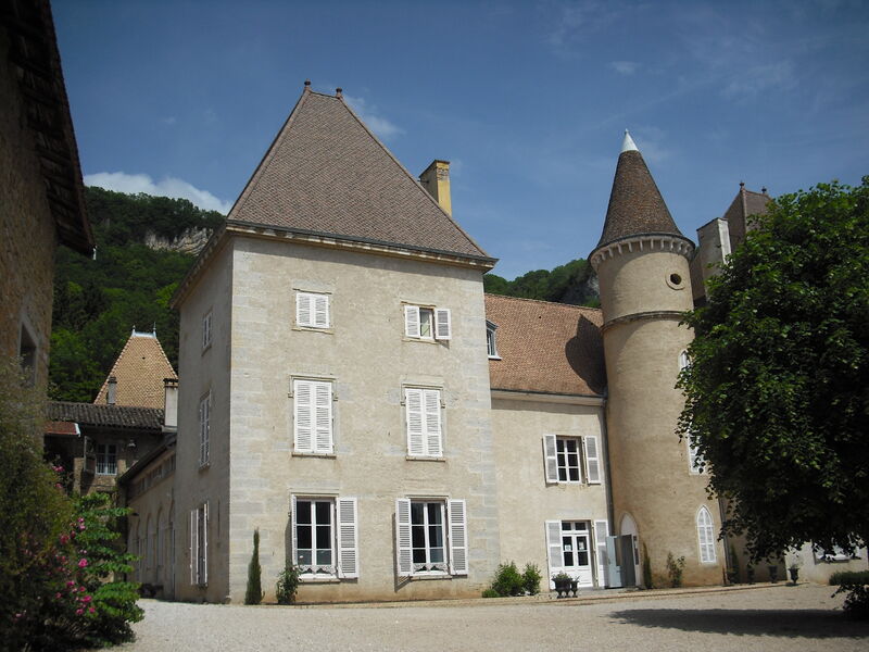 Château de Saint Sorlin