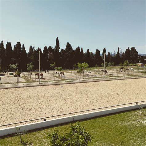 Ecurie Bayle Merlos, Maillane - photo 7