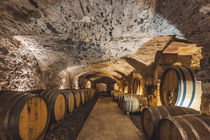 Château des Bormettes le Chai
