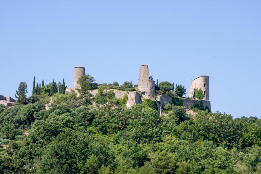 Château de Pontevès_Pontevès