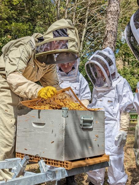 Baptême d'apiculture