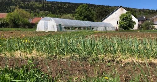 Les Jardins de Ruffieu