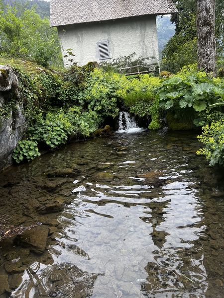 Jardin Botanique La Jaysinia - Visite Groupe