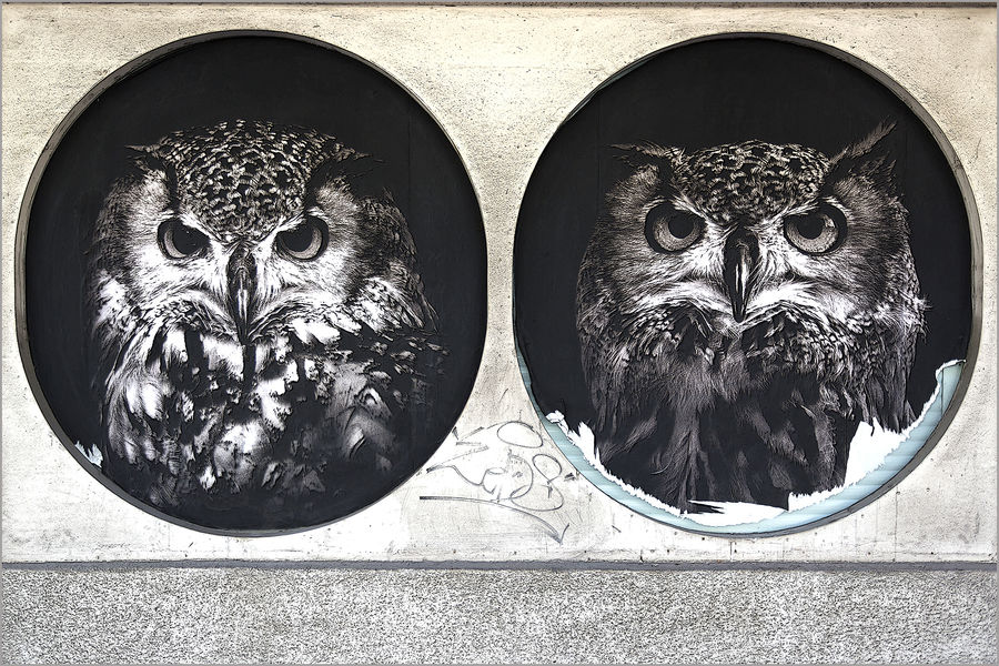 Parcours Street art Moûtiers