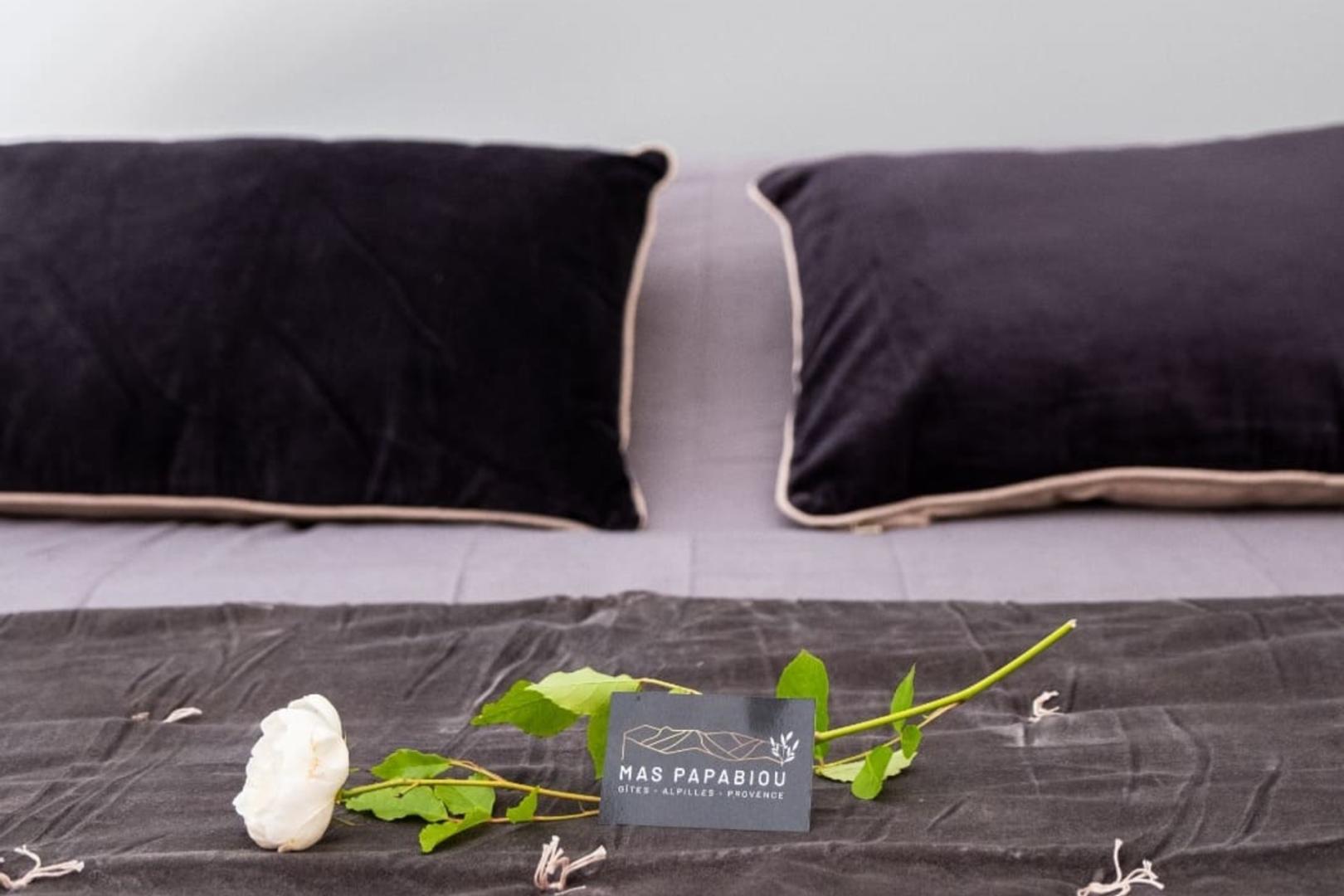 Mas Papabiou - Romanin, Eygalières - photo 17