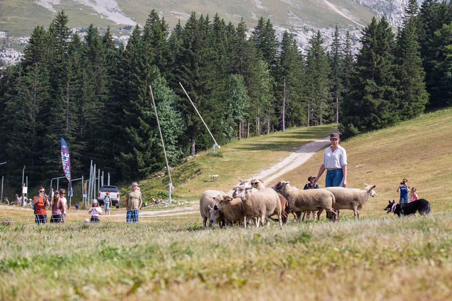 Fête de la Montagne_Villard-de-Lans