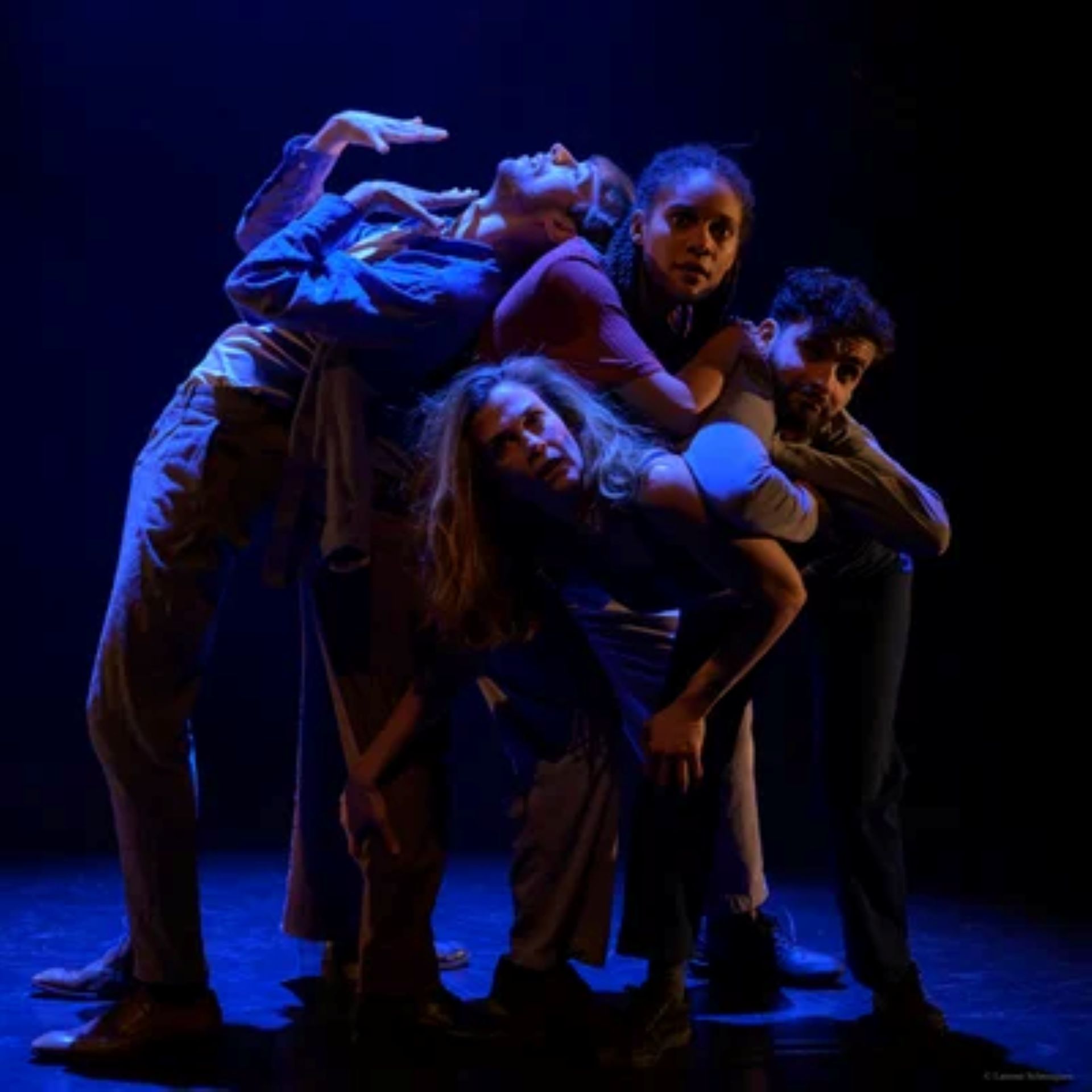 R.O.B.I.N. THEATRE DE L'ARGUMENT