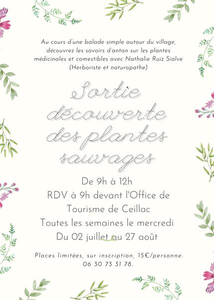 affiche - © comité animations Sortie découverte des plantes sauvages_Ceillac - © comité animations