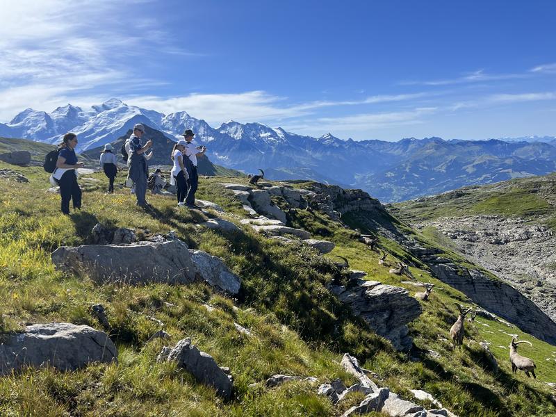 Flaine Mountain