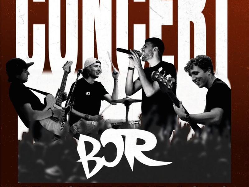 Concert - B.O.R fête ses 10 ans_Feurs
