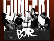 Concert - B.O.R fête ses 10 ans_Feurs