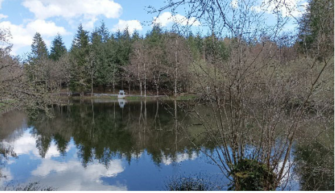 Parcours pêche : Lac du Maresc