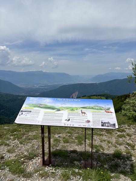 Panoramique