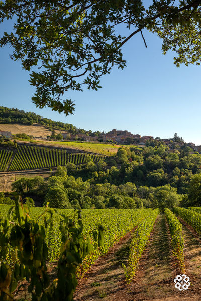 Point de vue autour de Theizé