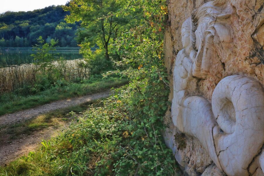 Marais de Lavours et vignobles du Bugey