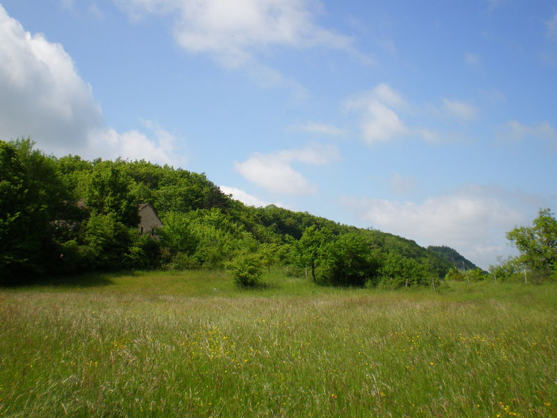 Eglise de Saint Maurice d'Echazeaux