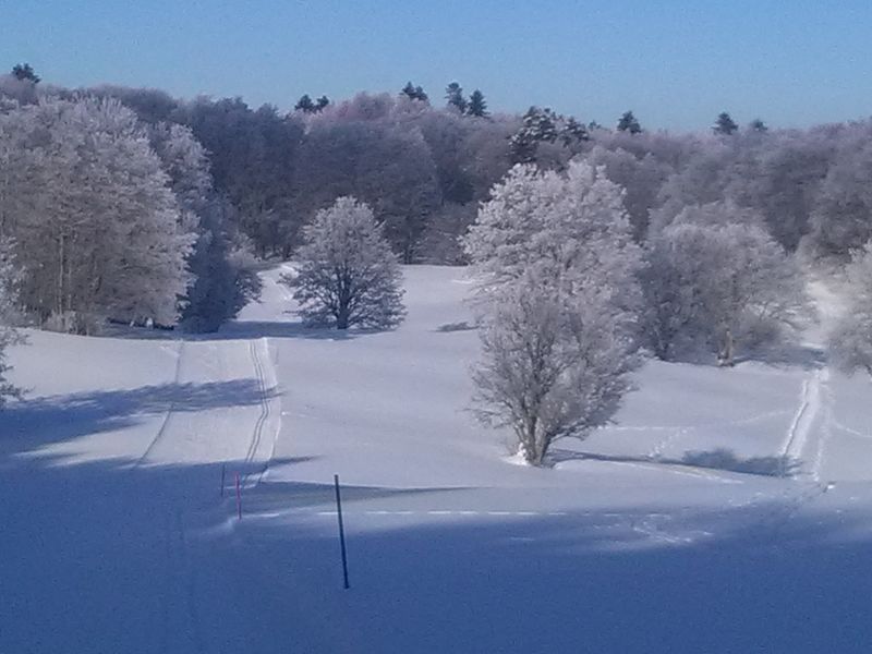 Piste raquette - Sur-Lyand