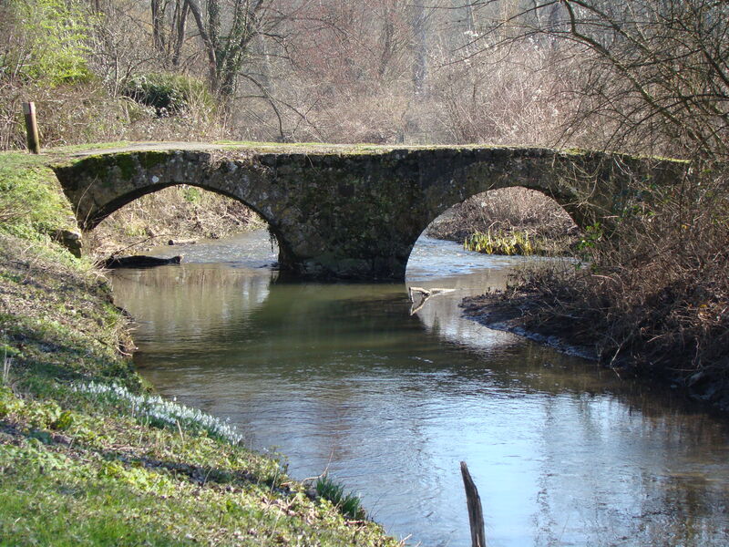 La rivière le Fusain Château-Landon