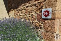 Gîte L'Annexe au Château de Pravins à Blacé  (Rhône, Beaujolais, proximité de Villefranche-sur-Saône) : sur le Domaine du Château Pravins.