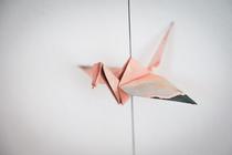 Samedis découverte : Origami Papillons & fleurs_Vienne