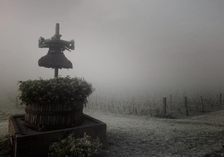 EARL Noël Martin - viticulteur - Saint-Chef, cité abbatiale - Balcons du Dauphiné