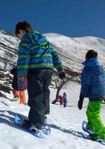 Sur la piste des animaux