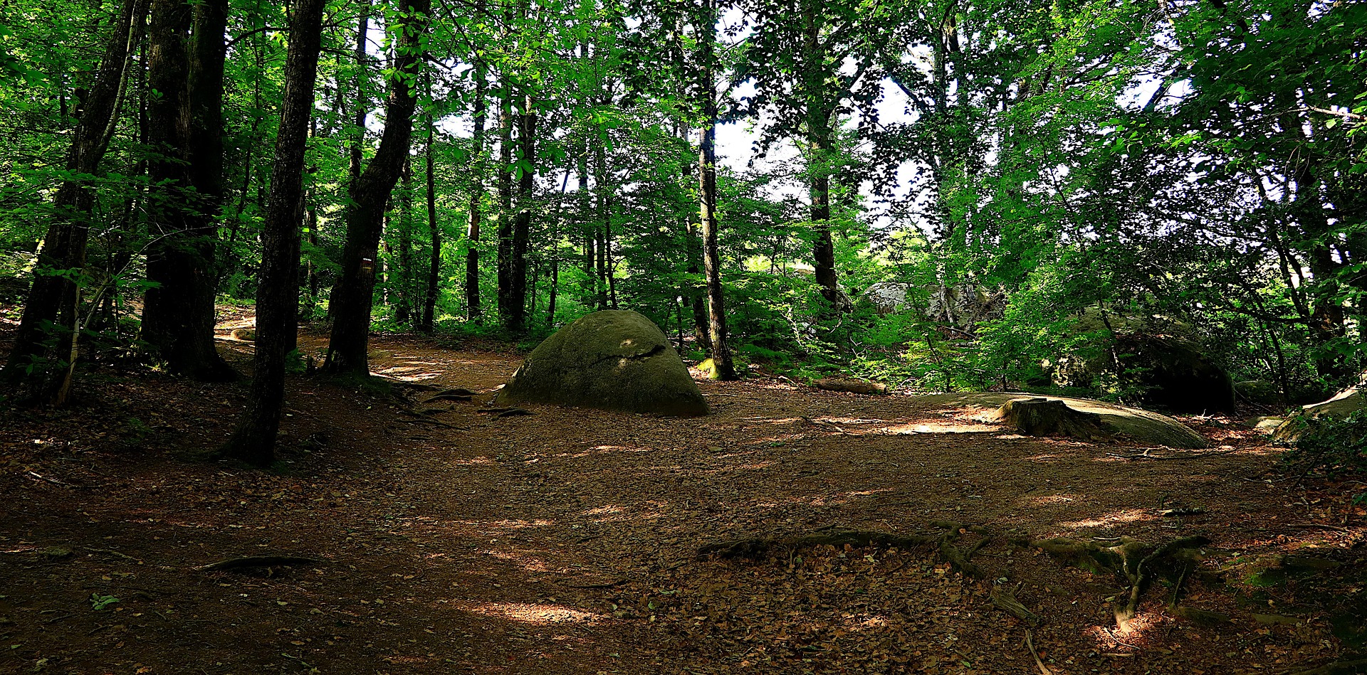 Balade contée - L'Arboretum de Villevocance_Villevocance