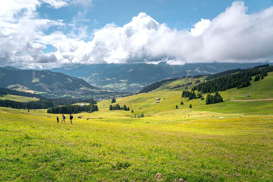 Le Lac de Joux depuis le Mont d'Arbois