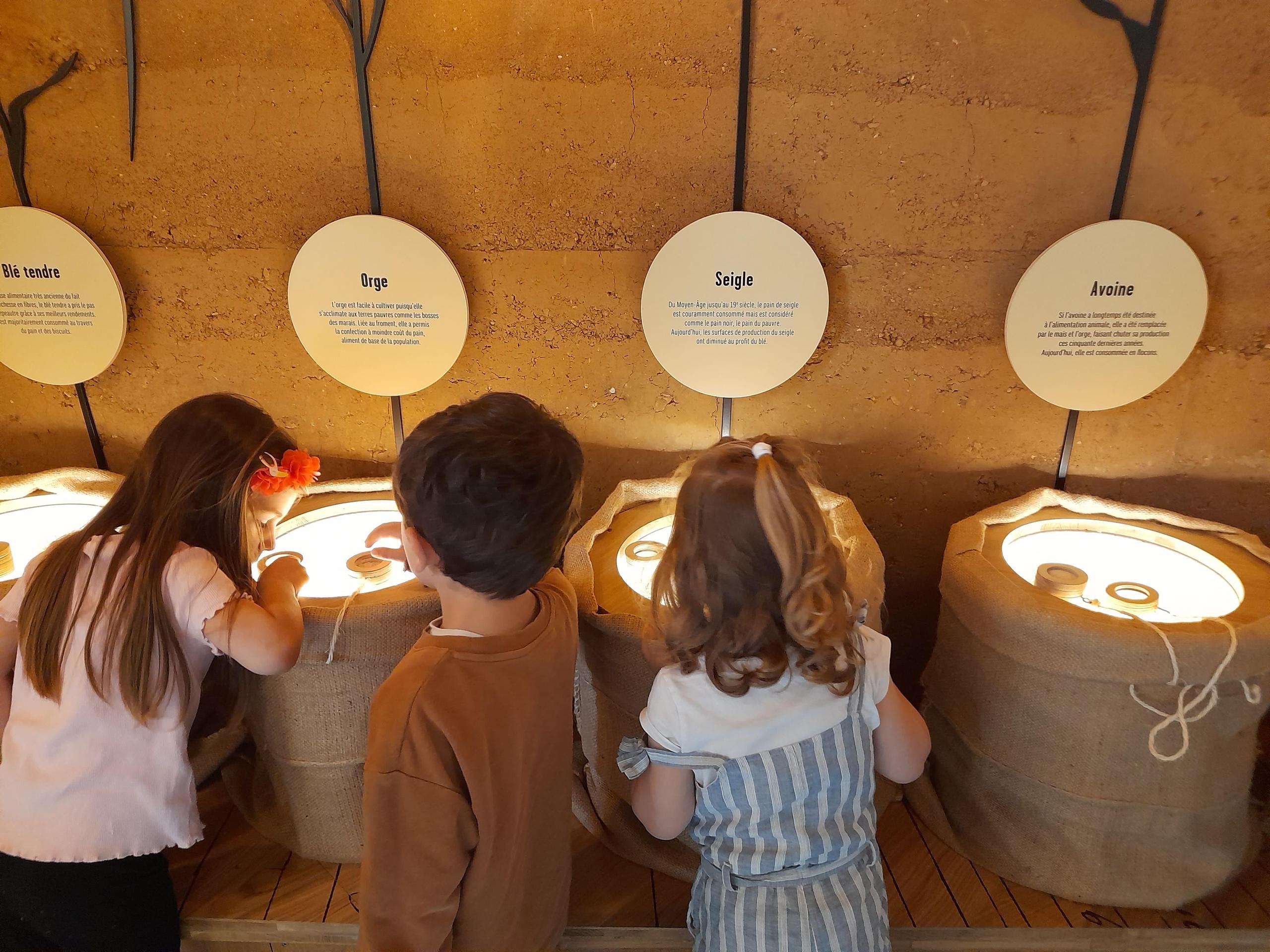 Atelier 4-6 ans jeu "du blé au pain"