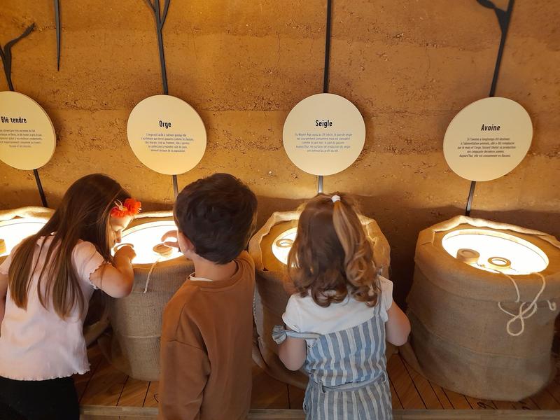 Atelier 4-6 ans jeu "du blé au pain"