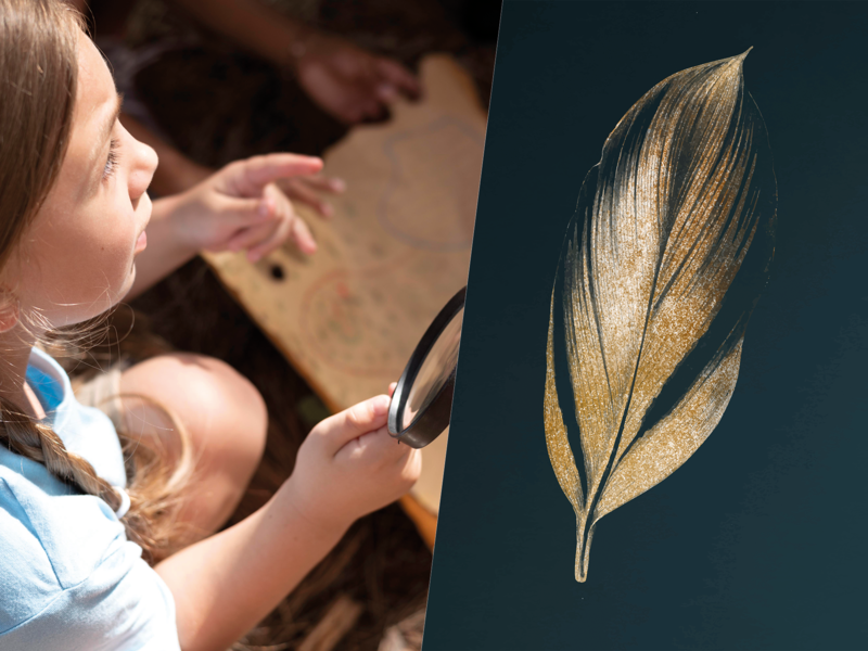 Escape Game à la Ferme du Naray avec trésor à la clé...