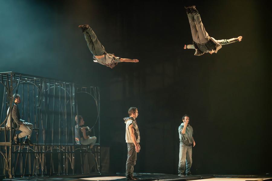 Cirque - Face aux murs_Toulon