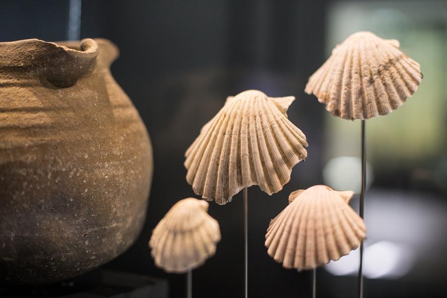 Visite guidée du musée