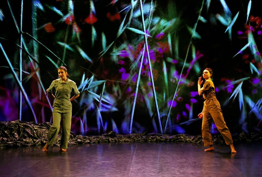 Spectacle de danse et théâtre : "Le Chemin du wombat au nez poilu" par la compagnie WLDN